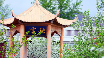 校园环境