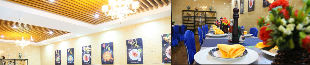 ����ѧϰ����