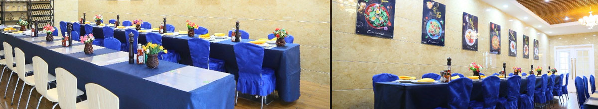 ����ѧϰ����